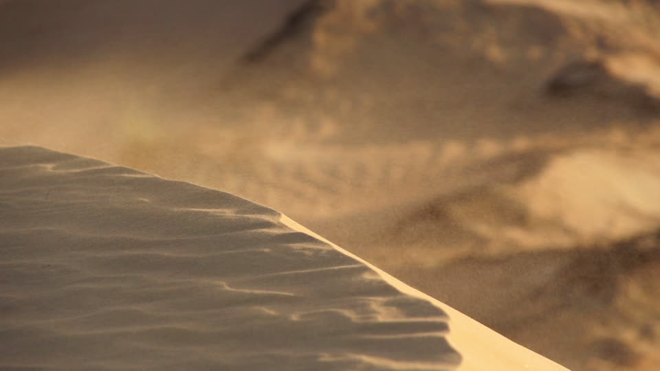 grano de arena desierto